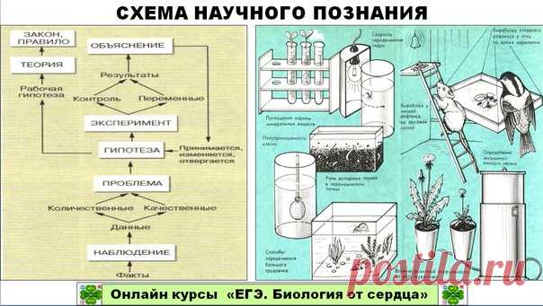 Измерение метод познания пример