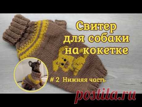 Свитер для собаки на круглой кокетке спицами, часть 2