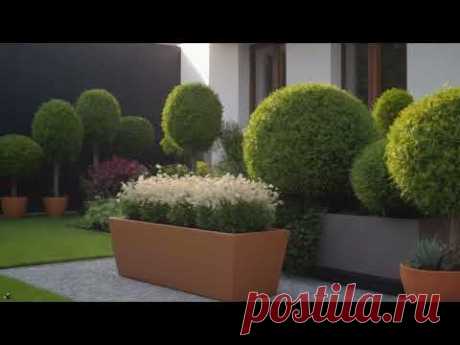 These ideas can be colorful in a landscaped garden and yard. Садівництво