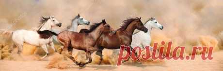 Фотообои на заказ - Herd gallops in the sand storm | Фотообои на заказ