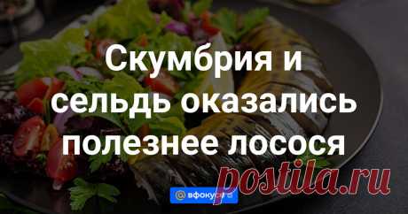 Скумбрия и сельдь оказались полезнее лосося Ученые из Кембриджского университета выяснили, что тихоокеанский и перуанский анчоус, атлантическая сельдь, скумбрия, килька и путассу (род рыб семейства тресковых) содержат больше витамина В12, железа и омега-3, чем лосось. Результаты исследования...