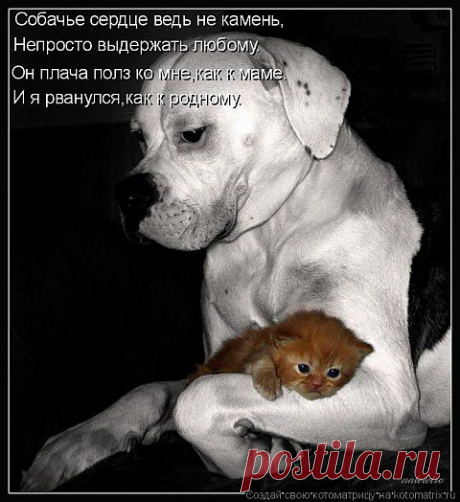 ПОДКИДЫШ...
