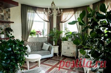 Комнатные цветы: как преобразить квартиру - Леди Mail.Ru