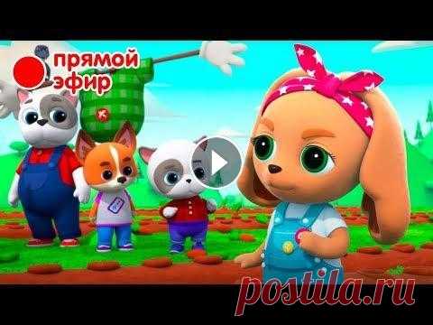 КОШЕЧКИ-СОБАЧКИ Подпишись ️ Ура! Встречаем новый #мультик от студии ...