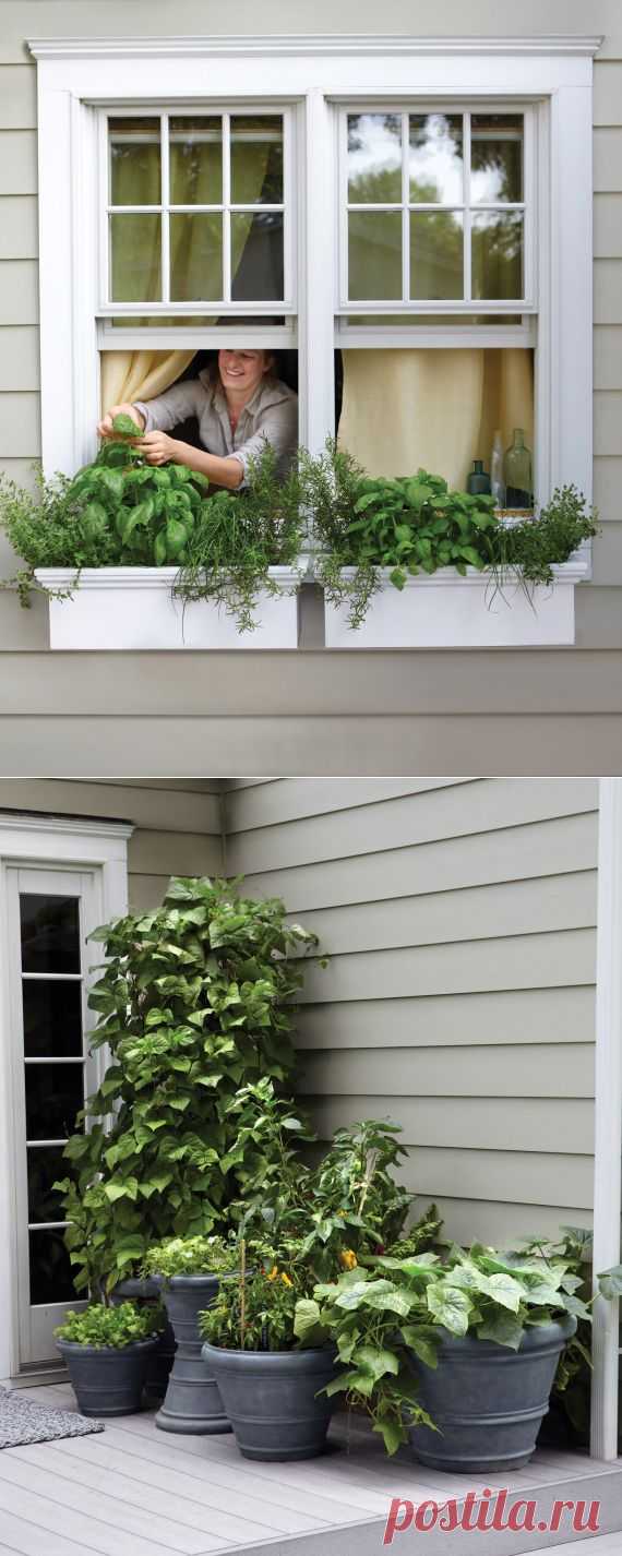 Small-Space Garden Ideas - Martha Stewart Gardening