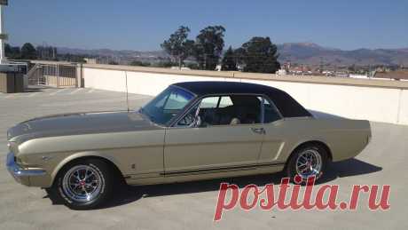 1966 Ford Mustang GT | T14 / Monterey 2014
