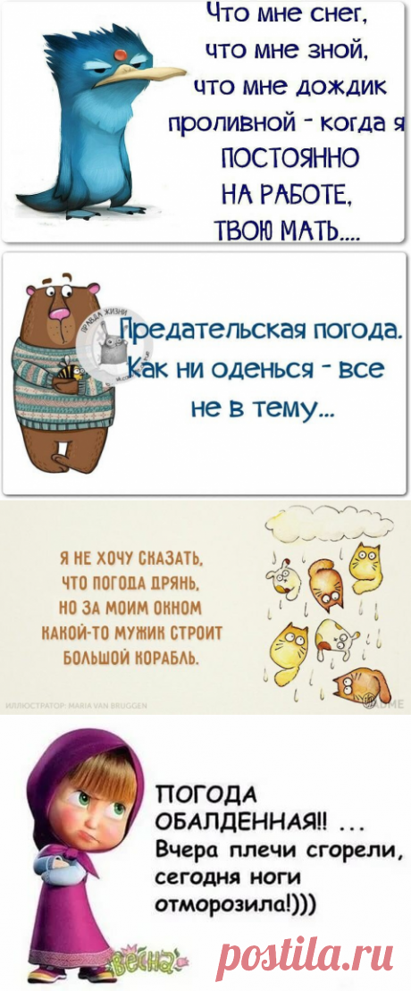 Погода на четвертую букву алфавита! | Чеширский кот | Яндекс Дзен