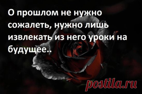 Извлекать уроки прошлого. Извлекать уроки цитата. Из жизни надо извлекать уроки. Кто должен извлекать урок из прошлого. Извлеченные уроки.