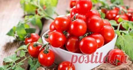 6 универсальных и неприхотливых сортов томатов черри Томаты черри получили свое название от английского слова "cherry" – вишня. Давайте познакомимся с самыми лучшими из них.