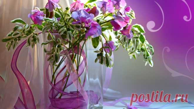 Скачать обои ваза, натюрморт, лепестки, букет, раздел цветы в разрешении 1366x768