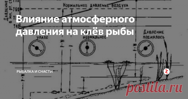 Нормальное атмосферное давление для рыбалки летом. Влияние давления на клев. Влияние давления на клев рыбы. Давление для рыбалки. Атмосферное давление и клев рыбы летом.