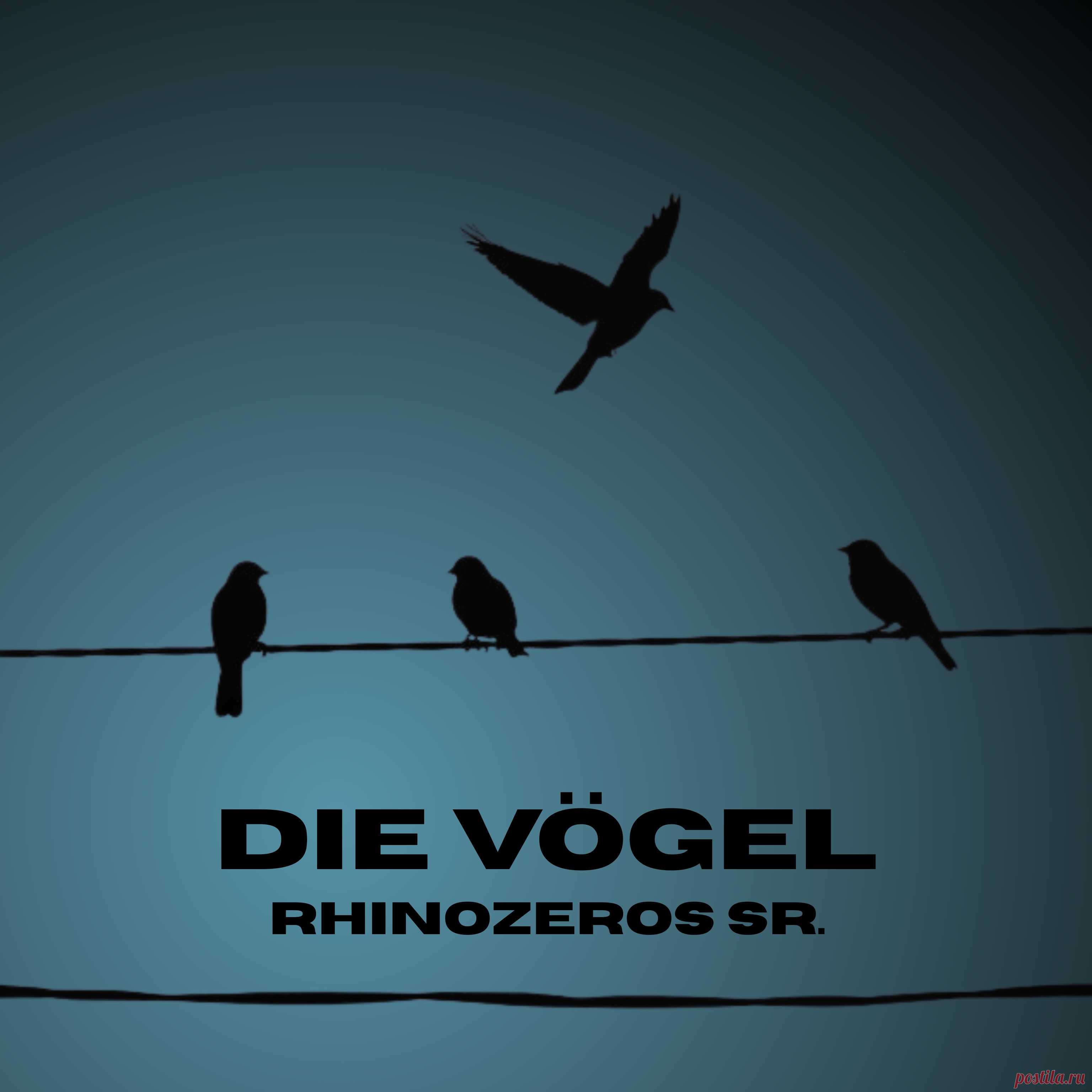 Rhinozeros Sr. - Die Vögel (2025) 320kbps / FLAC