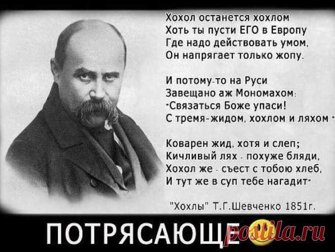Время вспомнить слова об украинцах знаменитых классиков. Только послушайте их… | #ПростоЖивем# | Дзен
