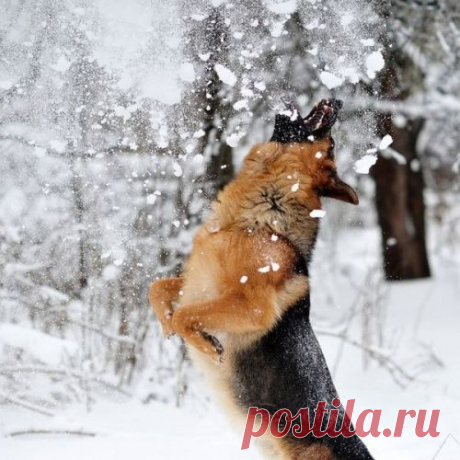 Шикарные фотографии)