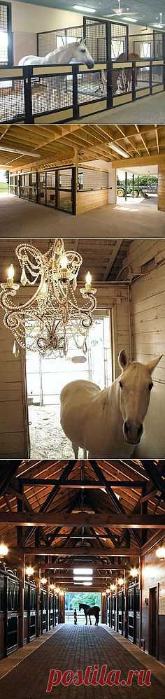 Open stalls...cool concept....the horses must love this! | barn