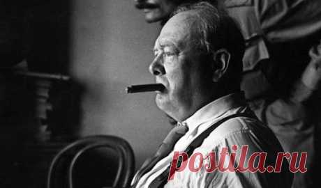 «Достойный ответ»: история об Уинстоне Черчилле, сохранявшем остроумие в любых ситуациях