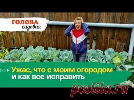 Голова садовая - Ужас, что с моим огородом и как все исправить
