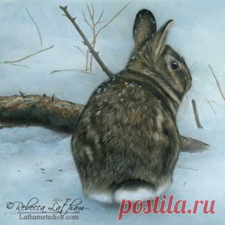 Happy New Year and Peek in the Studio – Jan 1, 2014 | Paintings of Wildlife &amp; Nature by Rebecca Latham