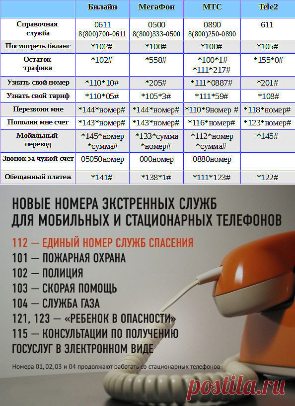 Как выглядит стационарный номер