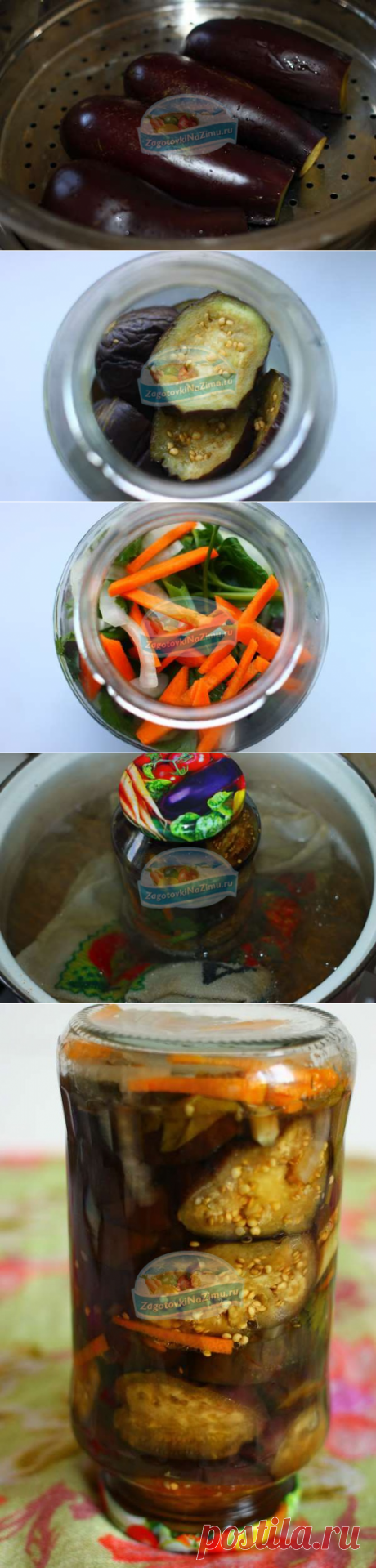 Заготовки из баклажан на зиму. Баклажаны на пару кружочками с морковью: рецепт с фото пошагово