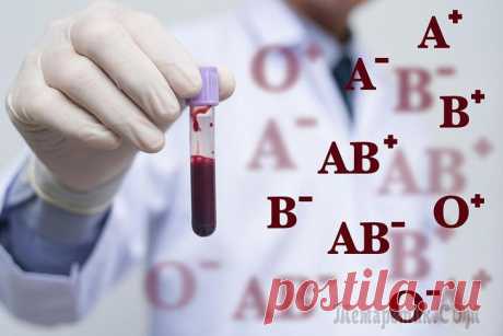 5 популярных заблуждений о группе крови Группа крови — параметр, по которому люди делятся на отдельные категории. Любовь человечества к сравнительному анализу себя и окружающих естественным образом отразилась и на интересе к группе крови. В...
