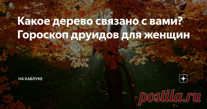 Какое дерево связано с вами? Гороскоп друидов для женщин У каждого из нас, по мнению древних кельтов, есть дерево, которое нам покровительствует. Давайте узнаем, какое связано именно с вами? Яблоня (23 декабря — 31 декабря; 25 июня — 4 июля) Эта женщина просто создана для семейной жизни, щедрая, терпеливая, добрая, заботливая жена и прекрасная мать. Правда, своей излишней заботой она способна извести любого родного человека. Всех своих близких она держит всегда рядом собой...