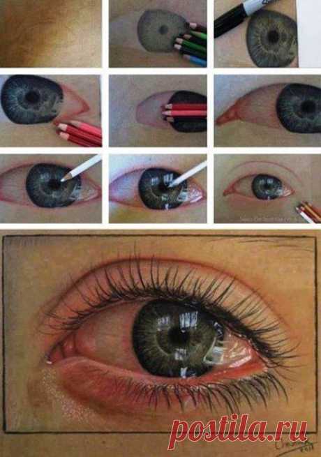 Как нарисовать глаз | Интересные факты