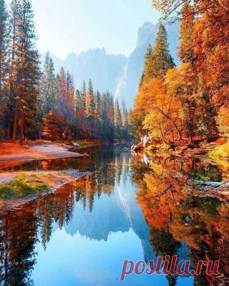 (9) Facebook