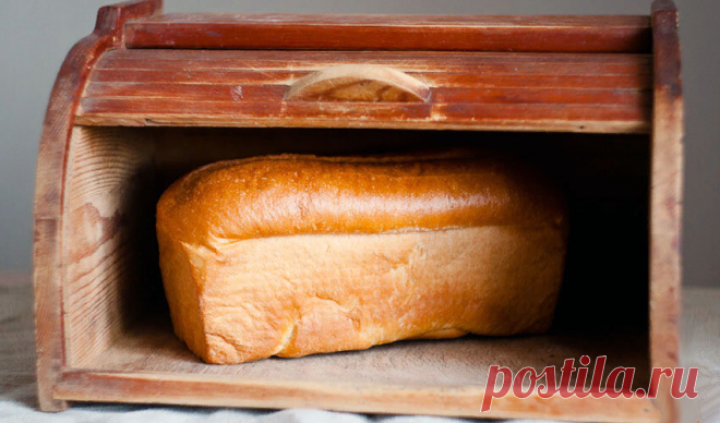 Что случилось, когда я съела хлеб с плесенью? | Soveti ot Yana Green | Яндекс Дзен