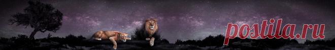 Изображение на кухонный фартук Лев и львица на фоне звездного неба .Скинали изображения для кухонного фартука