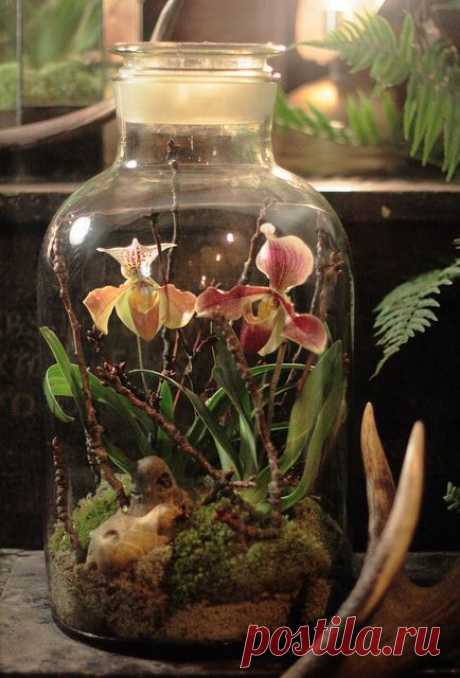 Beautiful Bottle Gardens That Will Make You Beam - Bored Art