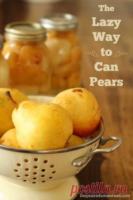 (461) How to Can Pears Without Sugar | Рецепт | Консервирование, Сахар и Консервированные Груши