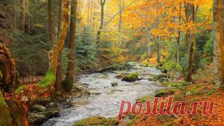 October Кинотеатр ВИЗИТ