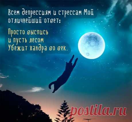 Всем доброй ночи и сладких снов!