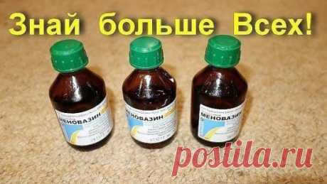 Меновазин: стоит копейки, а лечит 13 болезней! Почему я не знала этого раньше?!
Пузырёк меновазина обойдётся вам дешевле 24 рубля ($0,38), но это средство помогает от множества недугов. В частности:
1. Ангина.
При ангине советуют натереть больное горло меновазином и укутаться. От насморка также полезно нюхать меновазин, поочерёдно закрывая ноздри.
2. Бессонница.
Смочите ватный тампон меновазином и протрите шею в затылочной части от уха до уха. Это позволит вам быстро заснуть без приёма снотворно