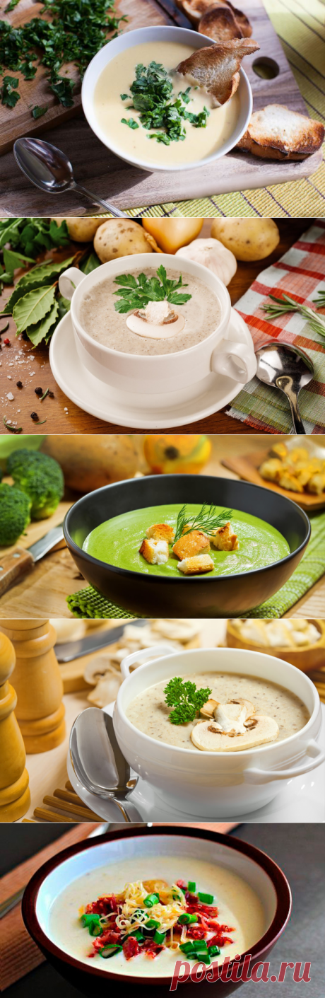 Крем суп: рецепты из шампиньонов, брокколи и сыра