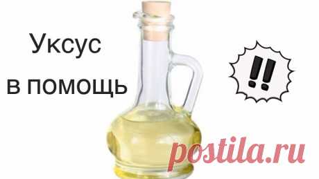 (1) Одноклассники