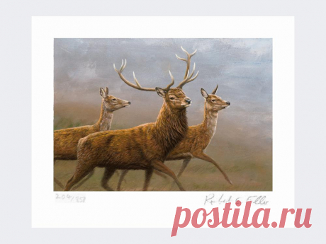 Красный олень и лань — принт ограниченного выпуска — художник дикой природы Роберт Э. Фуллер