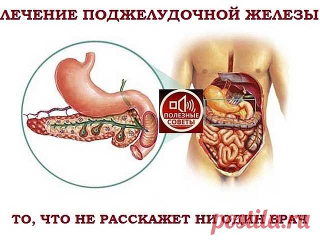 ПОЛЕЗНОСТИ : 
Сохраните, чтобы не потерять.

СОВЕТ 1 : ЛЕЧЕНИЕ ПОДЖЕЛУДОЧНОЙ ЖЕЛЕЗЫ НАРОДНЫМИ МЕТОДАМИ 

То, чего не расскажет ни один врач!
Поджелудочная железа — один из важных внутренних органов 
человеческого тела, который отвечает за наше пищеварение. Сбой в работе поджелудочной чреват осложнениями и целым рядом заболеваний, таких как панкреатит или сахарный диабет. К счастью, есть прекрасные народные средства, которые помогают лечить этот орган не хуже лекарств. Если...
