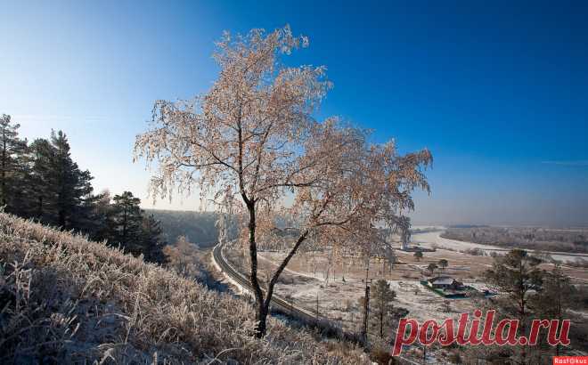 Фото: Берёзка на склоне. Фотограф Анатолий Иргл. Природа - Фотосайт Расфокус.ру