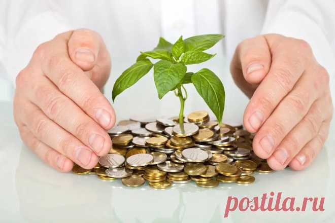 Виды инвестирования | ErMaxInvest | Дзен