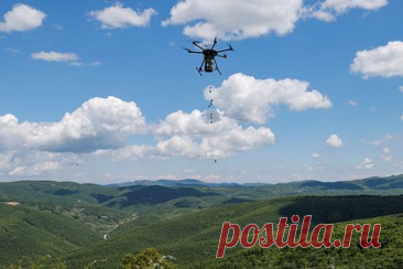 В Косово решили возрождать лес с помощью дронов