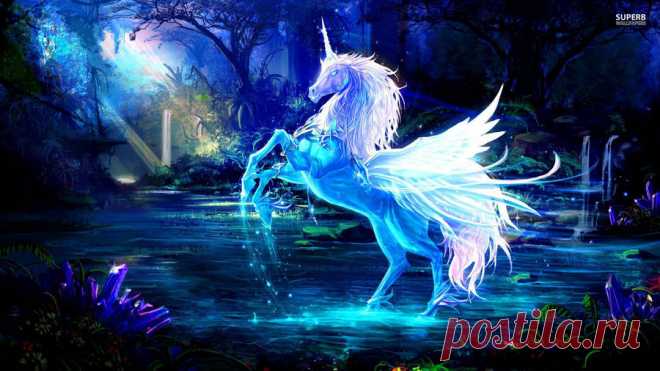Download Unicorn Wallpaper Over 50+ high-definition Unicorn wallpapers for free download! Customize your desktop, mobile phone and tablet with our Unicorn wallpapers now!