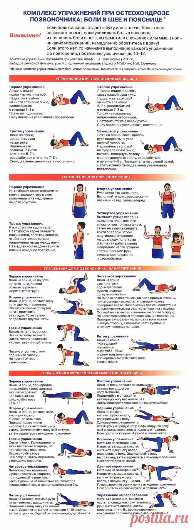 Комплекс при боли в пояснице. Комплекс упражнений при остеохондрозе позвоночника. Комплекс упражнений при болях в пояснице. Комплекс лечебной гимнастики при остеохондрозе позвоночника. Упражнения для спины и шеи при остеохондрозе.