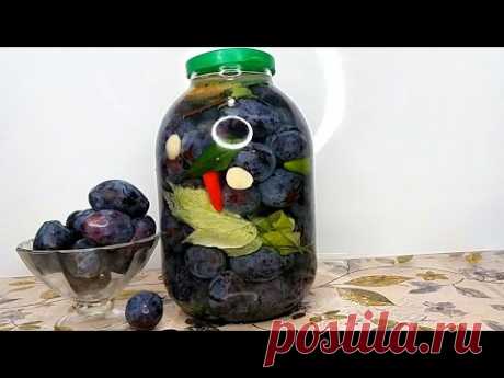 Самая Вкусная! Слива Квашеная/Солёная - Королева Стола! РЕЦЕПТ на Зиму.