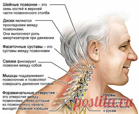 Почему у вас иногда так сильно тянет шею