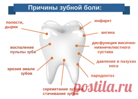 Действительно ли народные средства помогают от зубной боли