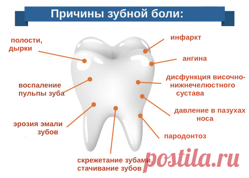 Действительно ли народные средства помогают от зубной боли