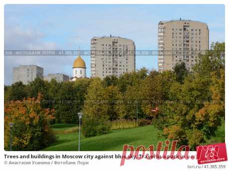 Trees and buildings in Moscow city against blue sky. Travel in a park in early autumn season. Стоковое фото, фотограф Анастасия Усанина / Фотобанк Лори