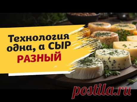 Рецепт сыра один, а вкус всегда разный: как так? Эксперименты в сыроделии